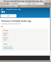 drupal docker